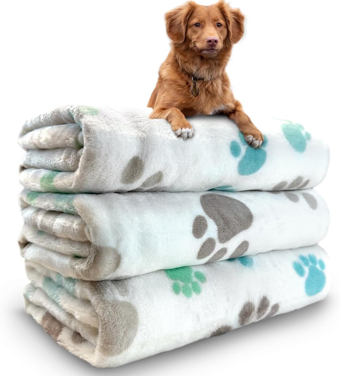 Dog Blankets for Medium Large Dogs, 3 Pack Dog Blanket Washable 41" x 31", Fuzzy Soft Pet Mat Throw Cover for Kennel Crate Bed, Cute Paw Pattern, Cat Blanket, Blankets for Dogs, Pet Blanket
