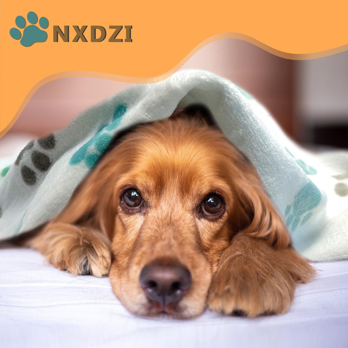 Dog Blankets for Medium Large Dogs, 3 Pack Dog Blanket Washable 41" x 31", Fuzzy Soft Pet Mat Throw Cover for Kennel Crate Bed, Cute Paw Pattern, Cat Blanket, Blankets for Dogs, Pet Blanket