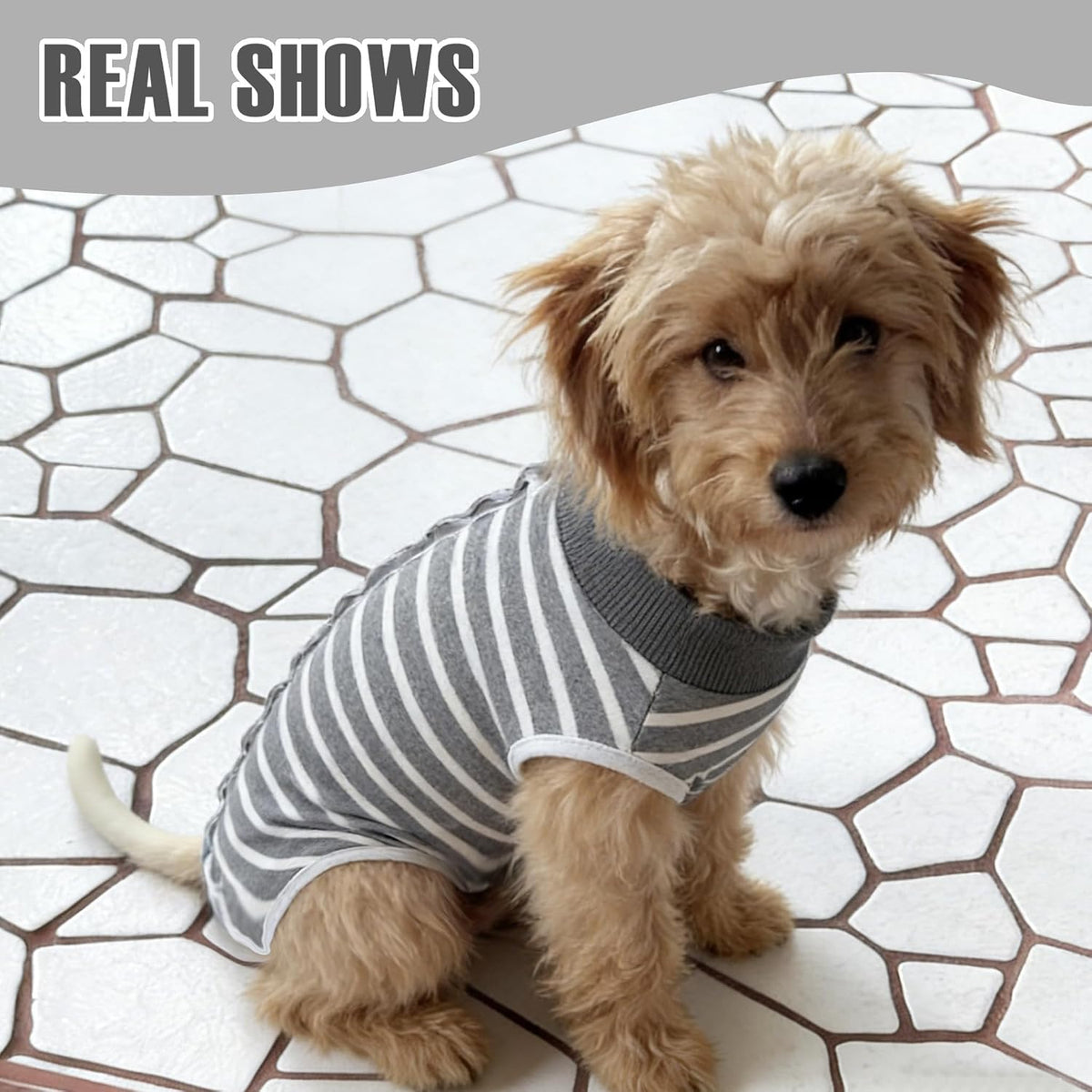 Recovery Suit for Dogs, Soft Dog Surgery Suit for Female Spay Male Neuter