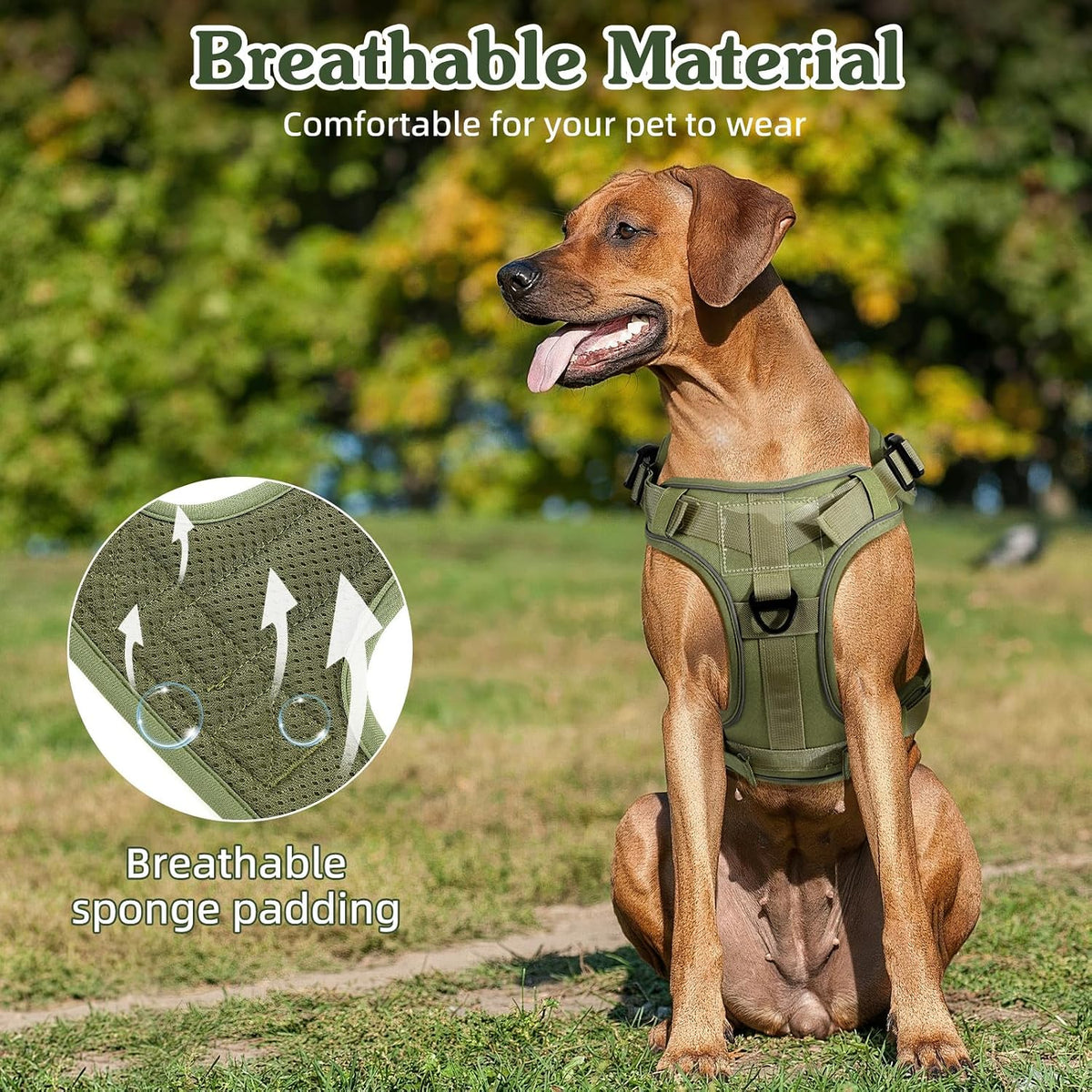 Dog Seat Belt Vest Harness for Car, 2 in 1 Seatbelt Buckle