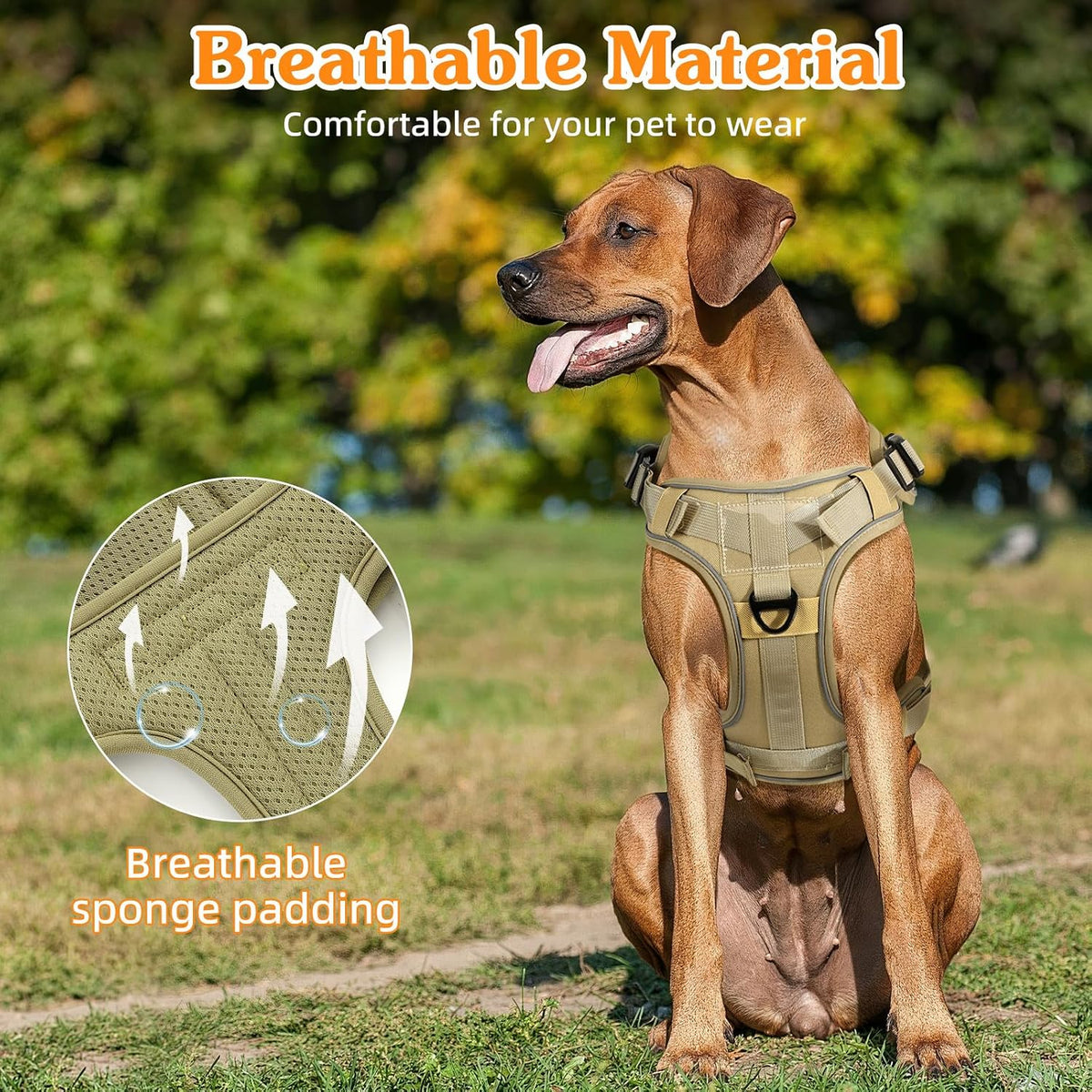 Dog Seat Belt Vest Harness for Car, 2 in 1 Seatbelt Buckle