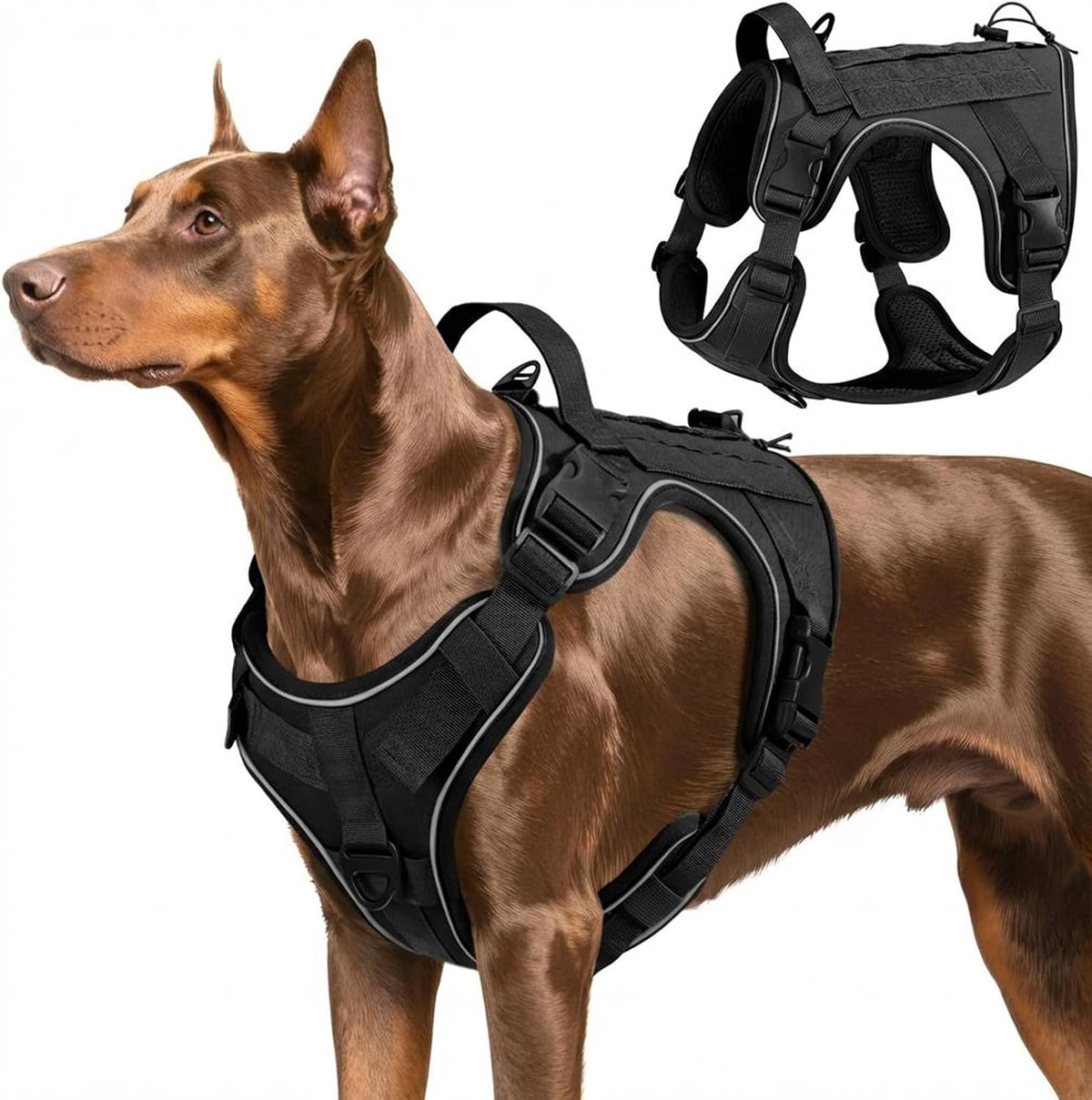 Dog Seat Belt Vest Harness for Car, 2 in 1 Seatbelt Buckle