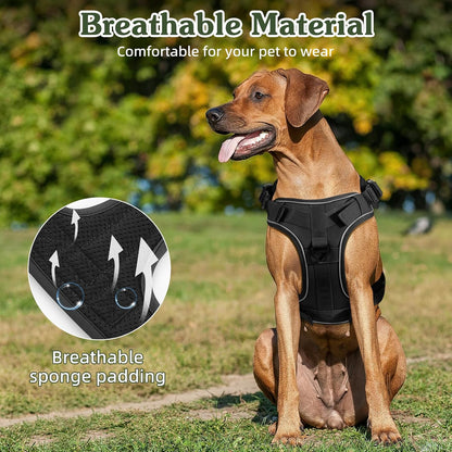 Dog Seat Belt Vest Harness for Car, 2 in 1 Seatbelt Buckle