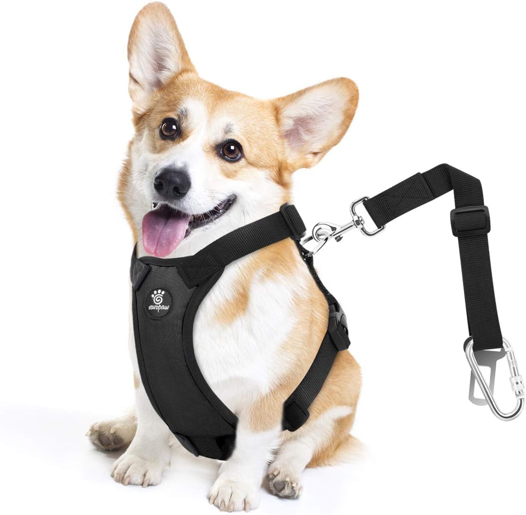 Dog Seat Belt Vest Harness for Car, 2 in 1 Seatbelt Buckle