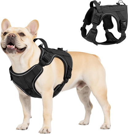 Dog Seat Belt Vest Harness for Car, 2 in 1 Seatbelt Buckle