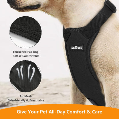 Dog Seat Belt Vest Harness for Car, 2 in 1 Seatbelt Buckle
