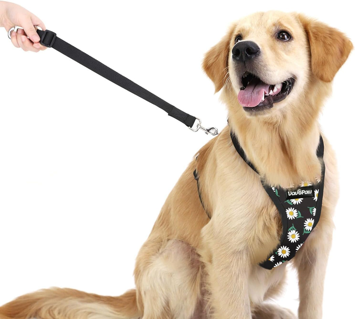 Dog Seat Belt Vest Harness for Car, 2 in 1 Seatbelt Buckle