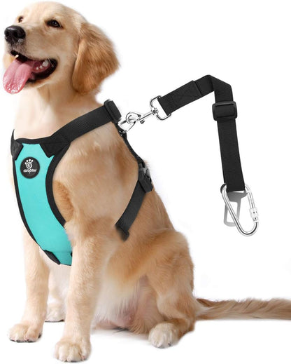 Dog Seat Belt Vest Harness for Car, 2 in 1 Seatbelt Buckle