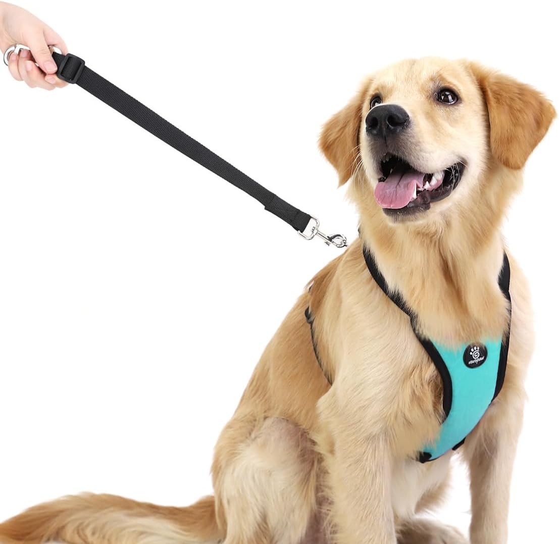 Dog Seat Belt Vest Harness for Car, 2 in 1 Seatbelt Buckle