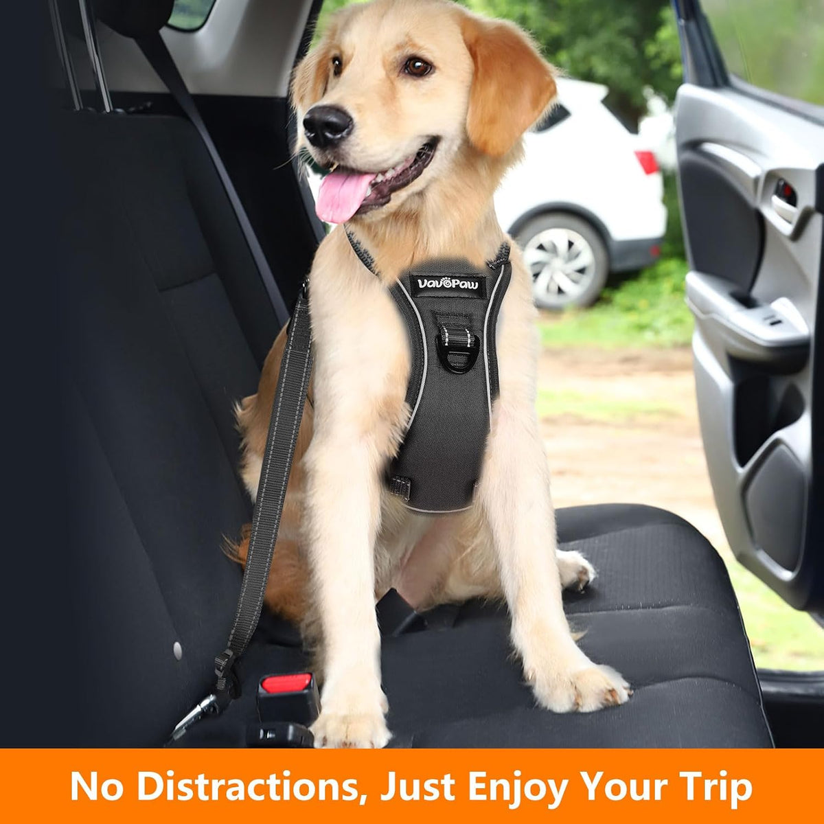 Dog Seat Belt Vest Harness for Car, 2 in 1 Seatbelt Buckle