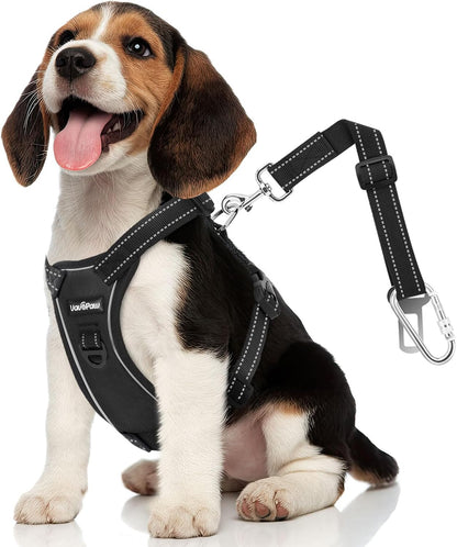 Dog Seat Belt Vest Harness for Car, 2 in 1 Seatbelt Buckle