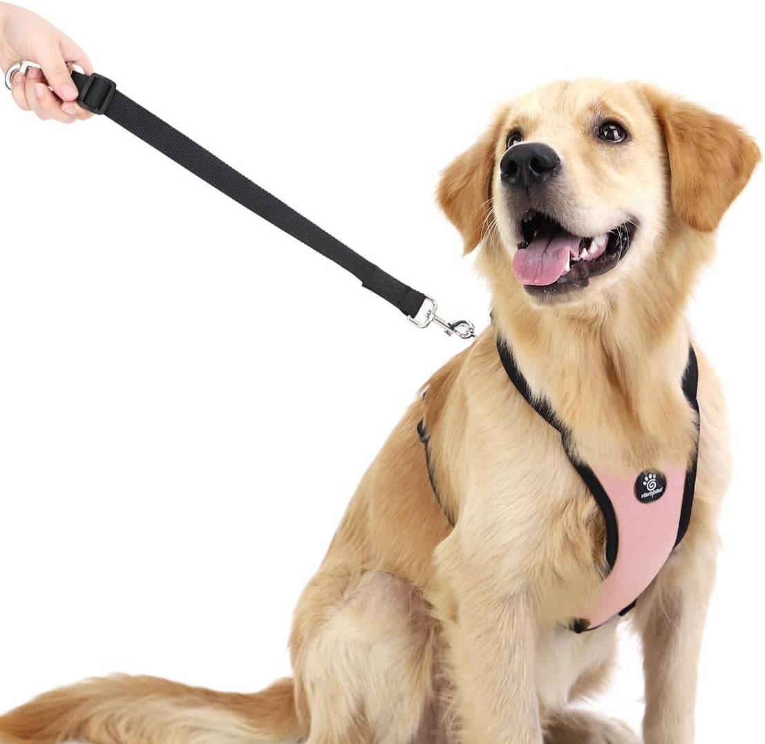 Dog Seat Belt Vest Harness for Car, 2 in 1 Seatbelt Buckle
