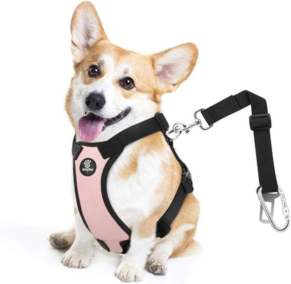 Dog Seat Belt Vest Harness for Car, 2 in 1 Seatbelt Buckle