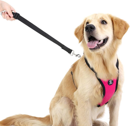 Dog Seat Belt Vest Harness for Car, 2 in 1 Seatbelt Buckle