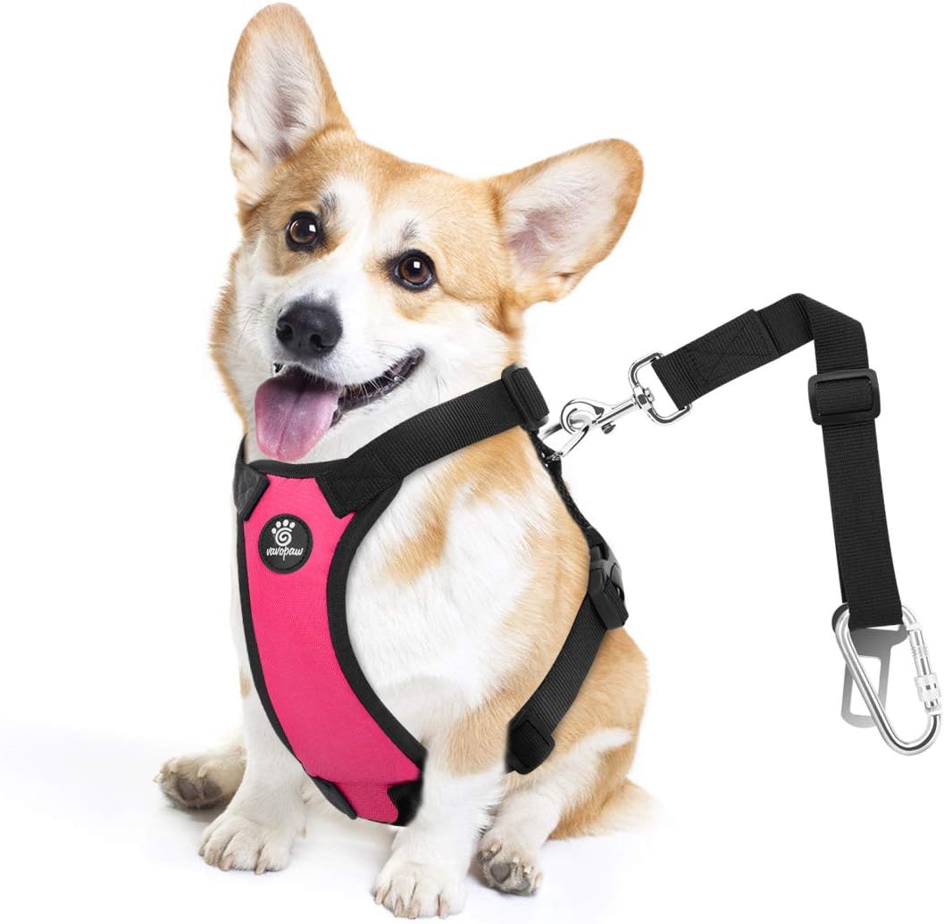 Dog Seat Belt Vest Harness for Car, 2 in 1 Seatbelt Buckle