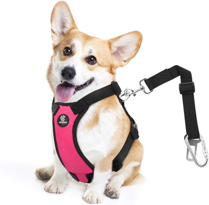 Dog Seat Belt Vest Harness for Car, 2 in 1 Seatbelt Buckle