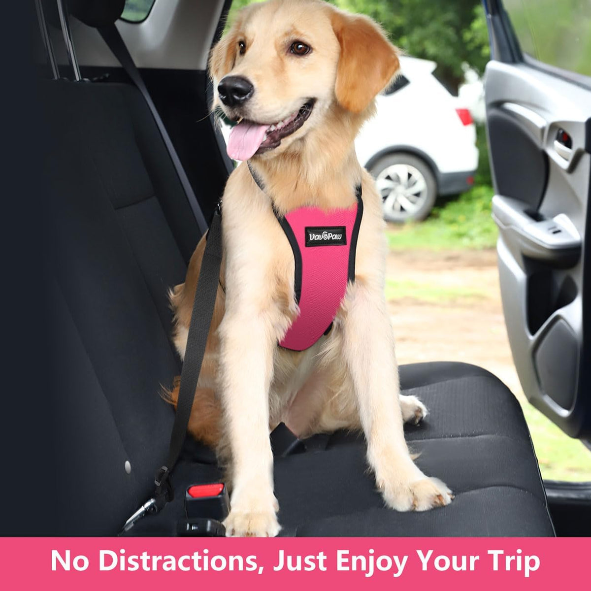 Dog Seat Belt Vest Harness for Car, 2 in 1 Seatbelt Buckle