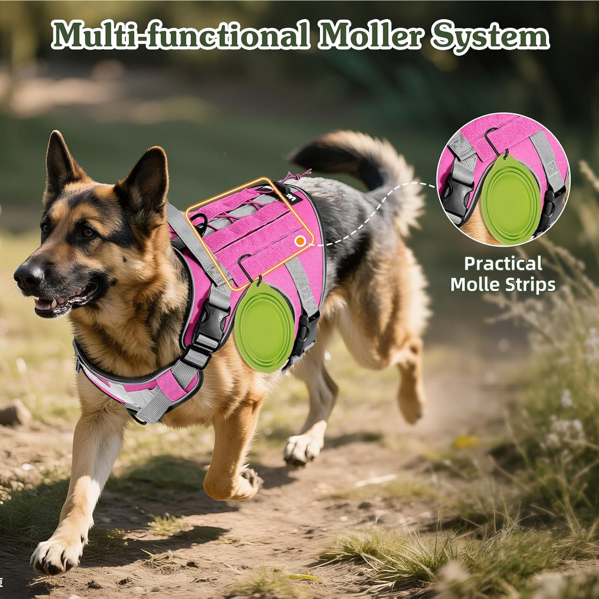 Dog Seat Belt Vest Harness for Car, 2 in 1 Seatbelt Buckle