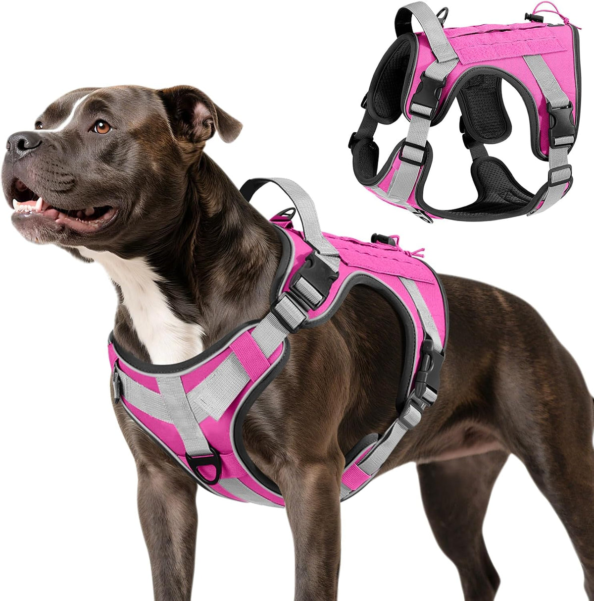 Dog Seat Belt Vest Harness for Car, 2 in 1 Seatbelt Buckle