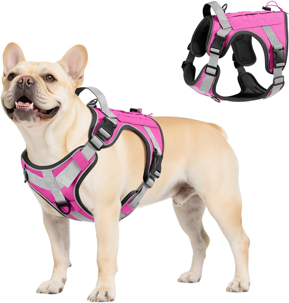Dog Seat Belt Vest Harness for Car, 2 in 1 Seatbelt Buckle
