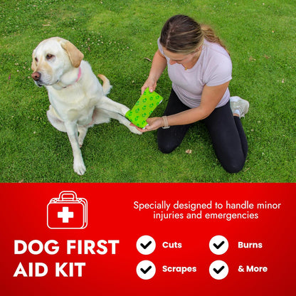 Cat & Dog First Aid Kit with Thermometer & Bandages (Medium)