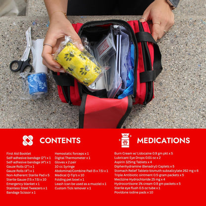Cat & Dog First Aid Kit with Thermometer & Bandages (Medium)