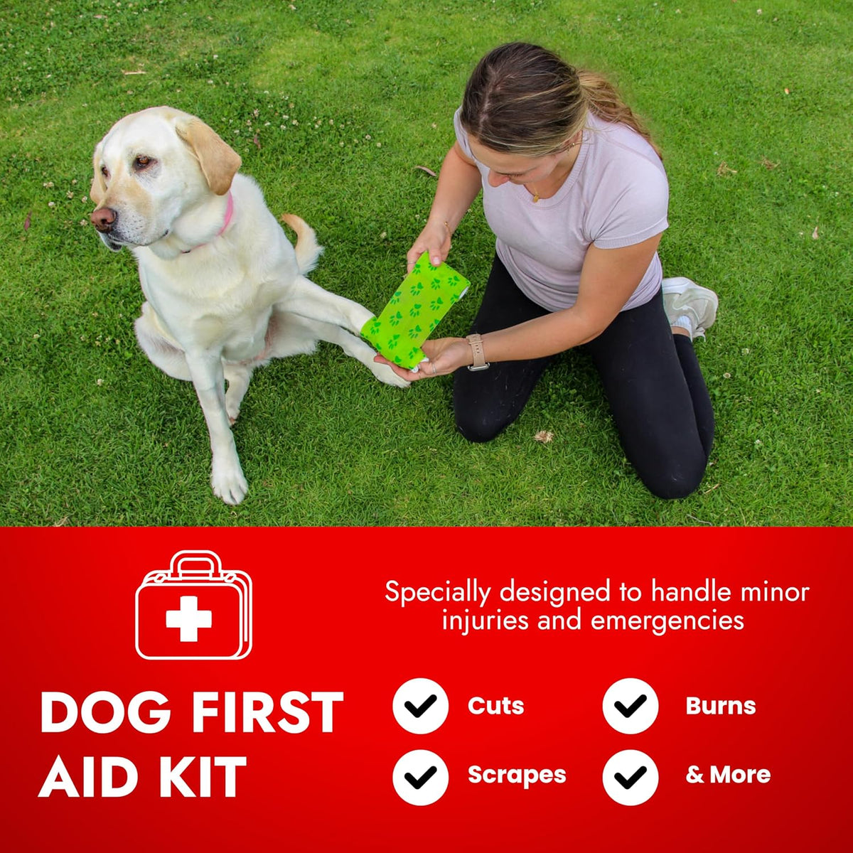 Cat & Dog First Aid Kit with Thermometer & Bandages (Medium)