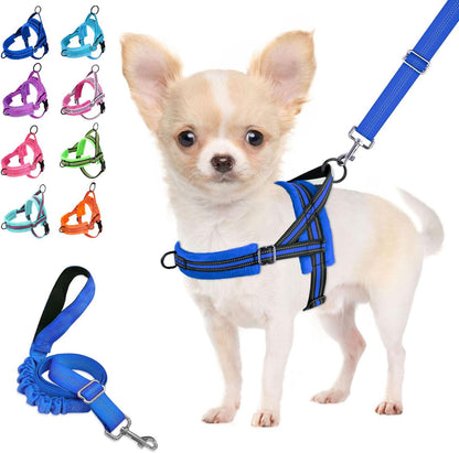 Small Dog Harness and Leash Set, No Pull Soft Padded Vest