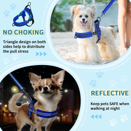 Small Dog Harness and Leash Set, No Pull Soft Padded Vest