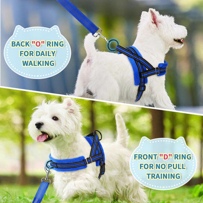 Small Dog Harness and Leash Set, No Pull Soft Padded Vest
