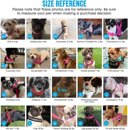 Small Dog Harness and Leash Set, No Pull Soft Padded Vest