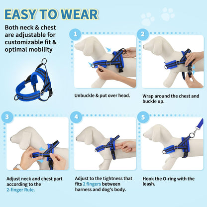 Small Dog Harness and Leash Set, No Pull Soft Padded Vest