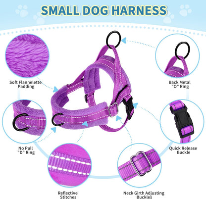 Small Dog Harness and Leash Set, No Pull Soft Padded Vest