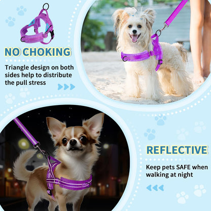 Small Dog Harness and Leash Set, No Pull Soft Padded Vest