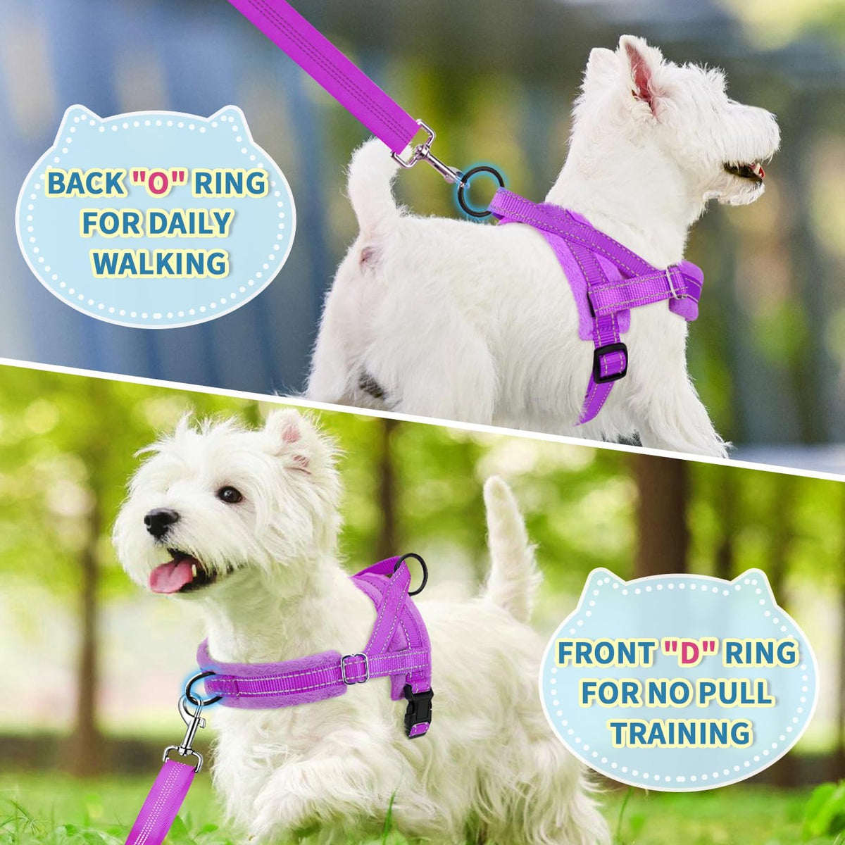 Small Dog Harness and Leash Set, No Pull Soft Padded Vest