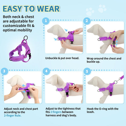 Small Dog Harness and Leash Set, No Pull Soft Padded Vest