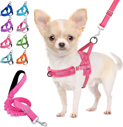 Small Dog Harness and Leash Set, No Pull Soft Padded Vest