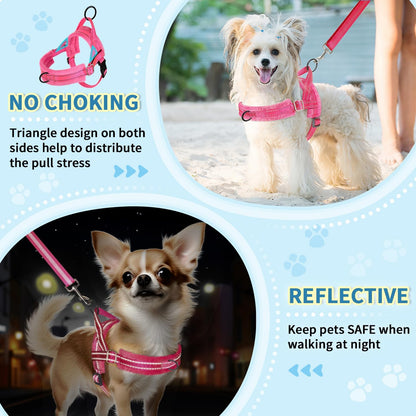 Small Dog Harness and Leash Set, No Pull Soft Padded Vest