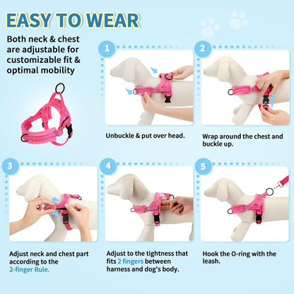 Small Dog Harness and Leash Set, No Pull Soft Padded Vest