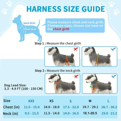Small Dog Harness and Leash Set, No Pull Soft Padded Vest