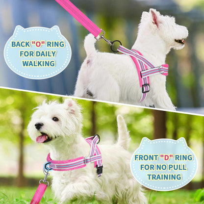 Small Dog Harness and Leash Set, No Pull Soft Padded Vest