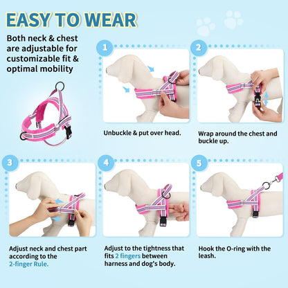 Small Dog Harness and Leash Set, No Pull Soft Padded Vest