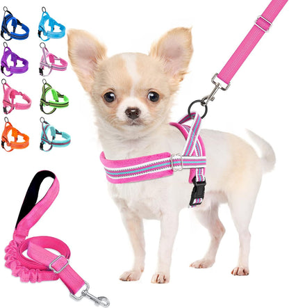 Small Dog Harness and Leash Set, No Pull Soft Padded Vest