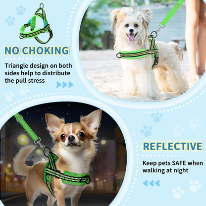 Small Dog Harness and Leash Set, No Pull Soft Padded Vest