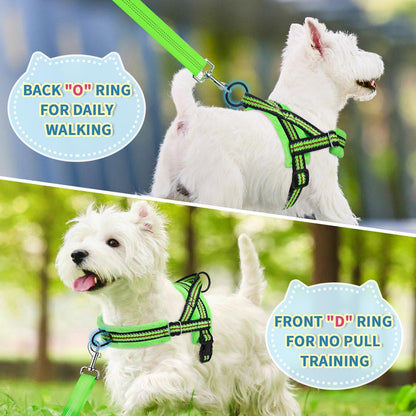 Small Dog Harness and Leash Set, No Pull Soft Padded Vest