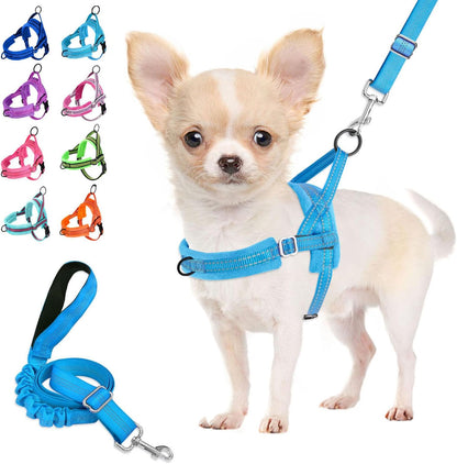 Small Dog Harness and Leash Set, No Pull Soft Padded Vest