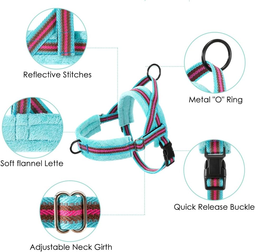 Small Dog Harness and Leash Set, No Pull Soft Padded Vest