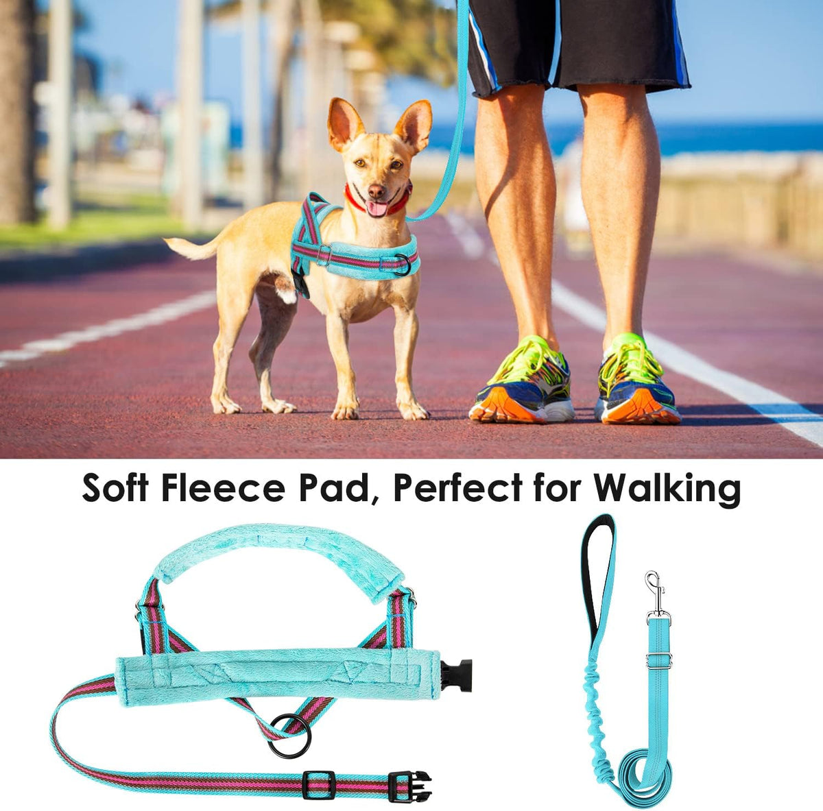 Small Dog Harness and Leash Set, No Pull Soft Padded Vest