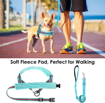 Small Dog Harness and Leash Set, No Pull Soft Padded Vest