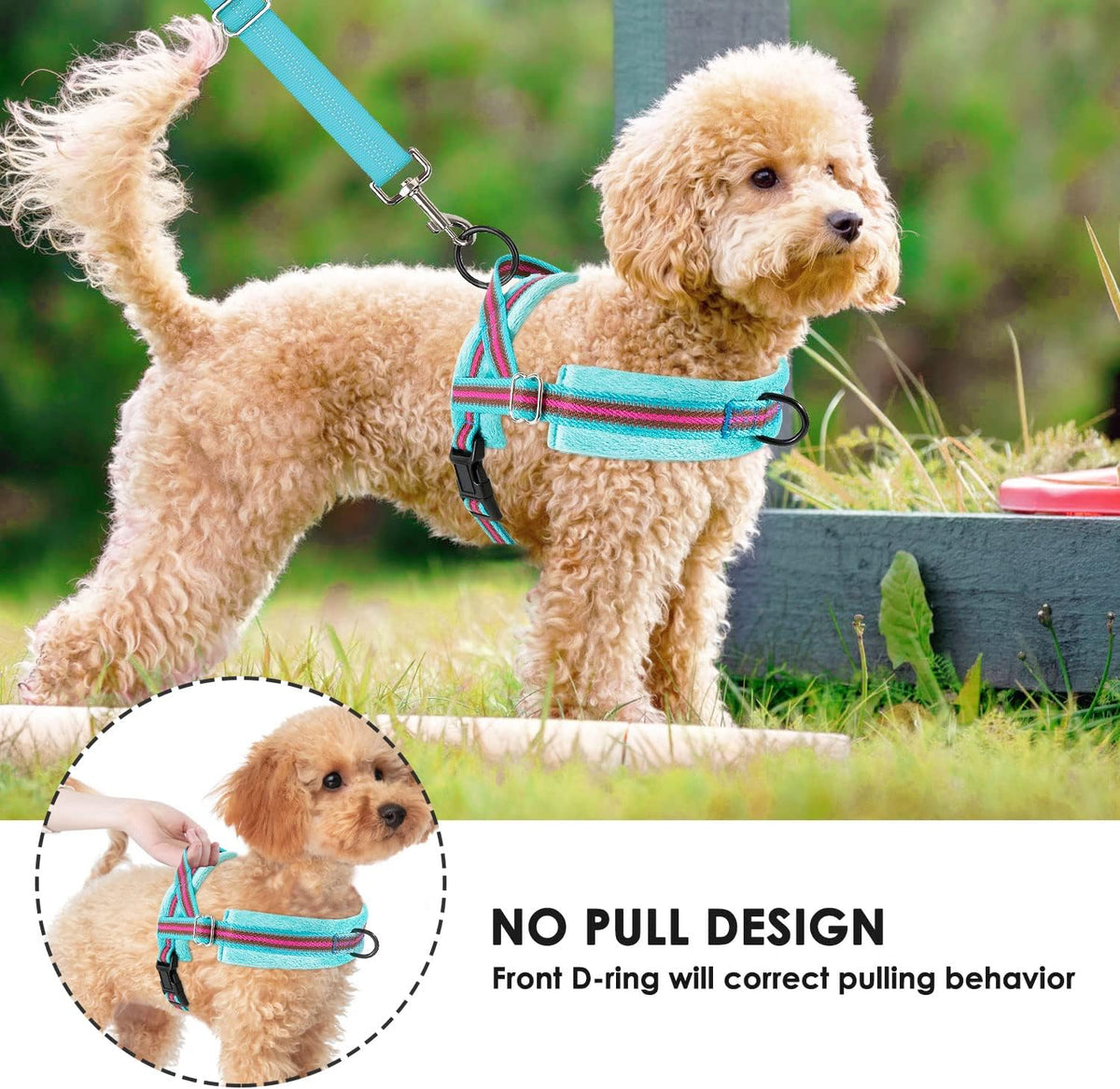 Small Dog Harness and Leash Set, No Pull Soft Padded Vest